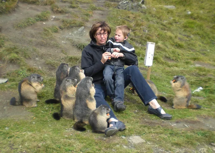 Hotel Hotelchen Doellacher Dorfwirtshaus 3*